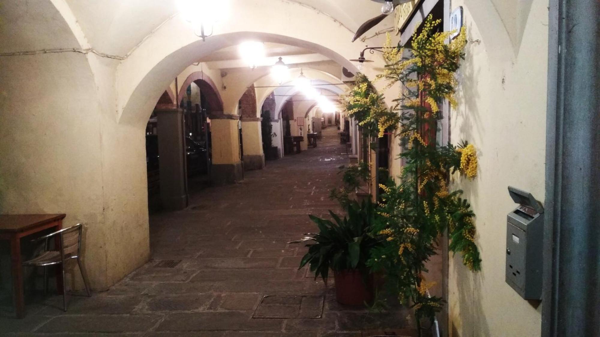 شقة Il Nido Nel Chianti غريفي ان شنتي المظهر الخارجي الصورة